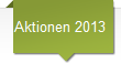Aktionen 2013
