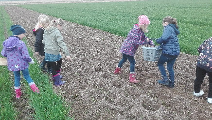 IMG_20170330_Pflanzen1