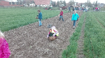 IMG_20170330_Pflanzen2