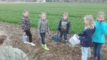 IMG_20170330_Pflanzen3