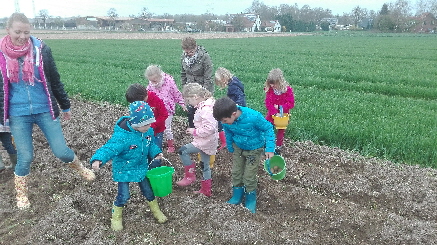 IMG_20170330_Pflanzen4