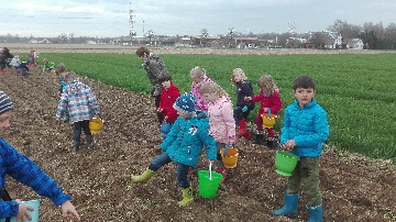 IMG_20170330_Pflanzen5