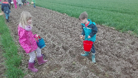 IMG_20170330_Pflanzen6