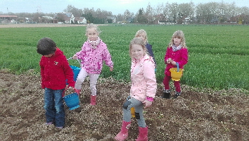 IMG_20170330_Pflanzen7