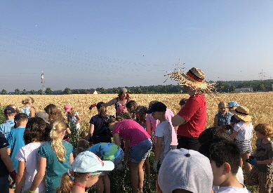 IMG_5551_Stroh auf dem Kopf