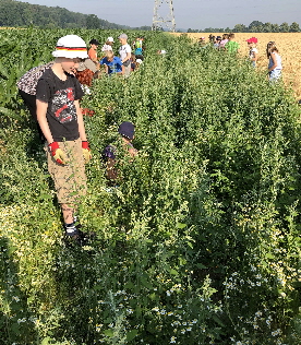 IMG_5554_Bcken oder nicht