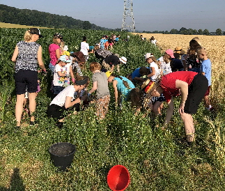 IMG_5555_erfolgreiche Suche