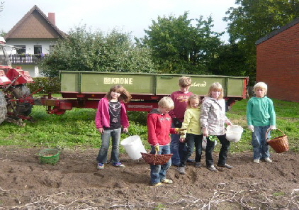 Kartoffelsuche 1