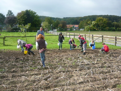 Kartoffelsuche 2