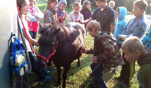 DSC_0081_Streichelbung 2