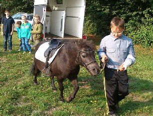 DSC_0098_Pony am Band