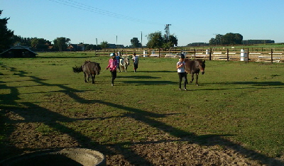 DSC_0118_An de Leine