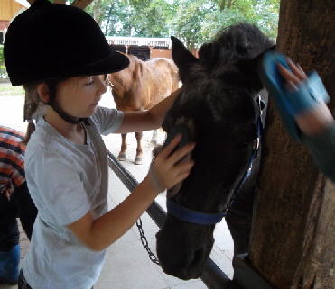 SAM_1111_Pferdepflege