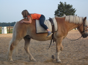 SAM_1129_verkehrt herum