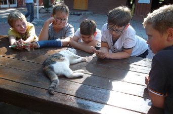 SAM_1201_Katzenschlaefchen