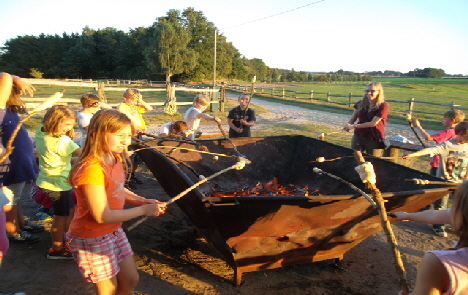 SAM_1214_Stockkartoffeln 1