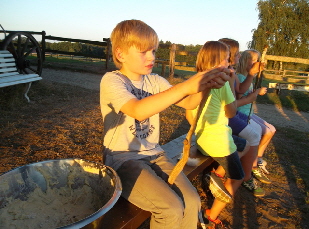 SAM_1222_Stockkartoffeln