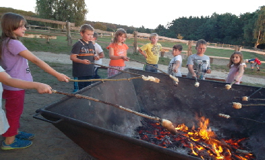 SAM_1227_Stockkartoffeln 2