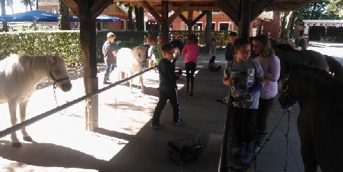 WP_000380_Vorm Ausritt