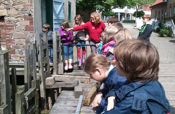 Am Wehr der Wassermhle