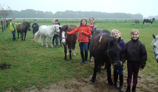 Pferdefreundschaft_2