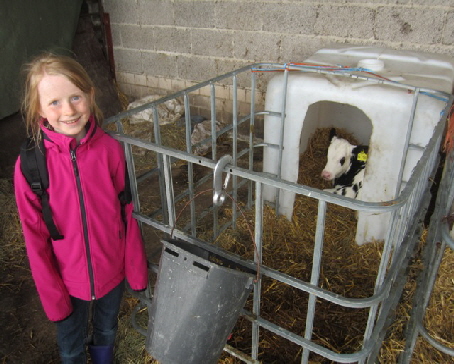 Milchhof Klbchen 2013_15