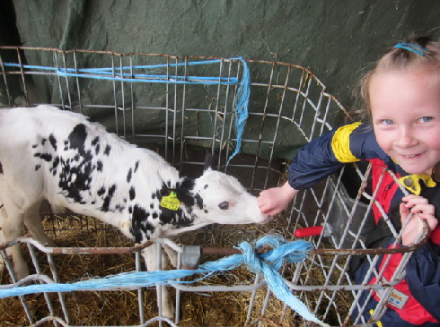 Milchhof Klbchen  2013_16