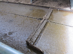 Milchhof _Frderbandreinigung