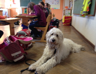 Schulhund 1