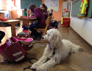 Schulhund 2
