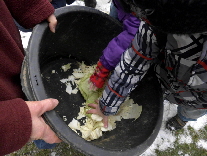 DSCI0113_Salatftterung