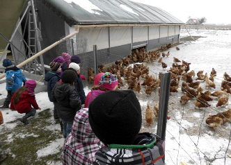 DSCI0114_Hhner im berblick