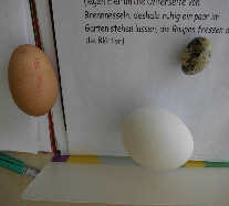 DSCI0143_Eiervergleich