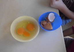 DSCI0160_Das Innere vom Ei