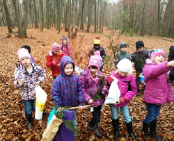 WP_000016_ Herbstdetektive