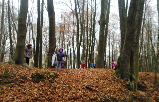 WP_000023_ Herbstdetektive