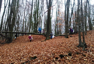 WP_000024_ Herbstdetektive