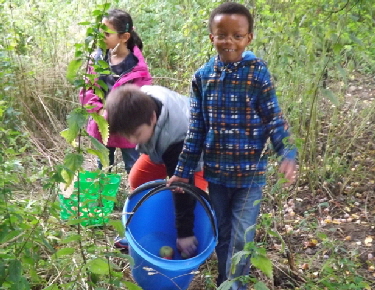 DSCF1090_Apfel-sammler 2