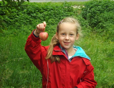 DSCF1097_Apfel-fund