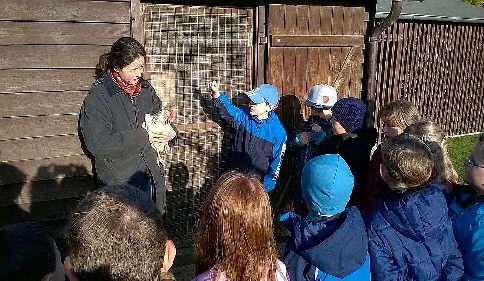 WP_20150414_Hhnerhof 1