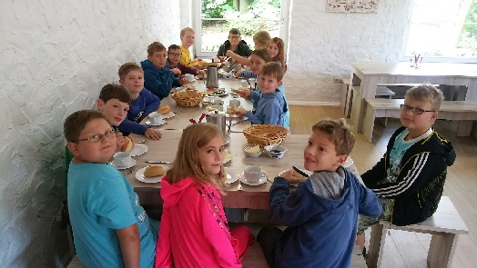 20170901_084645_resized2