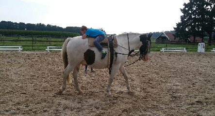 20170901_095951_resized2