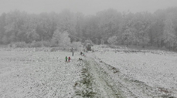 IMG_20170117_Wehrendorfer Winter