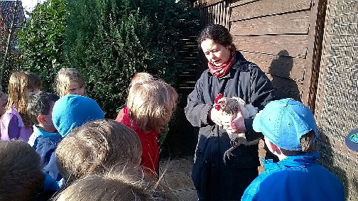 WP_20150414_Hhnerhof 2