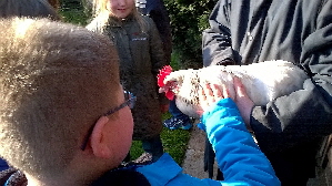 WP_20150414_Hhnerhof 3