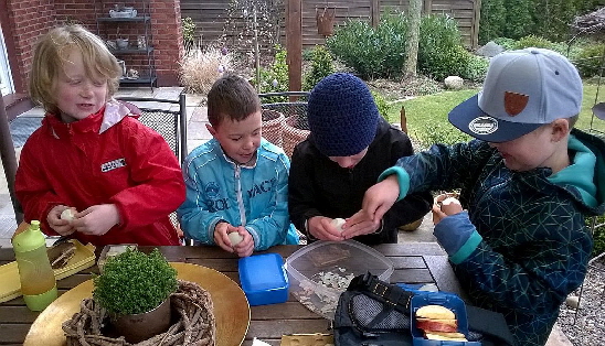 WP_20150414_Hhnerhof 5