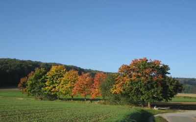 Herbst hinter der Schule