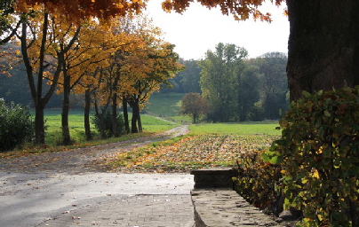 IMG_1010_Weg zum Wald