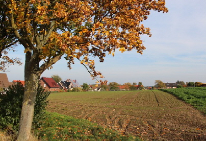 IMG_1014_Ackerblick Wehrendorf