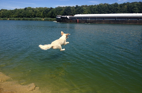 IMG_1412_George mit Schwung